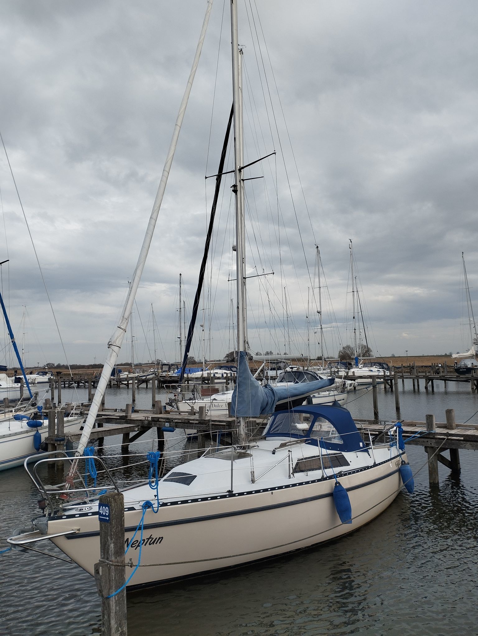 Neptun 27