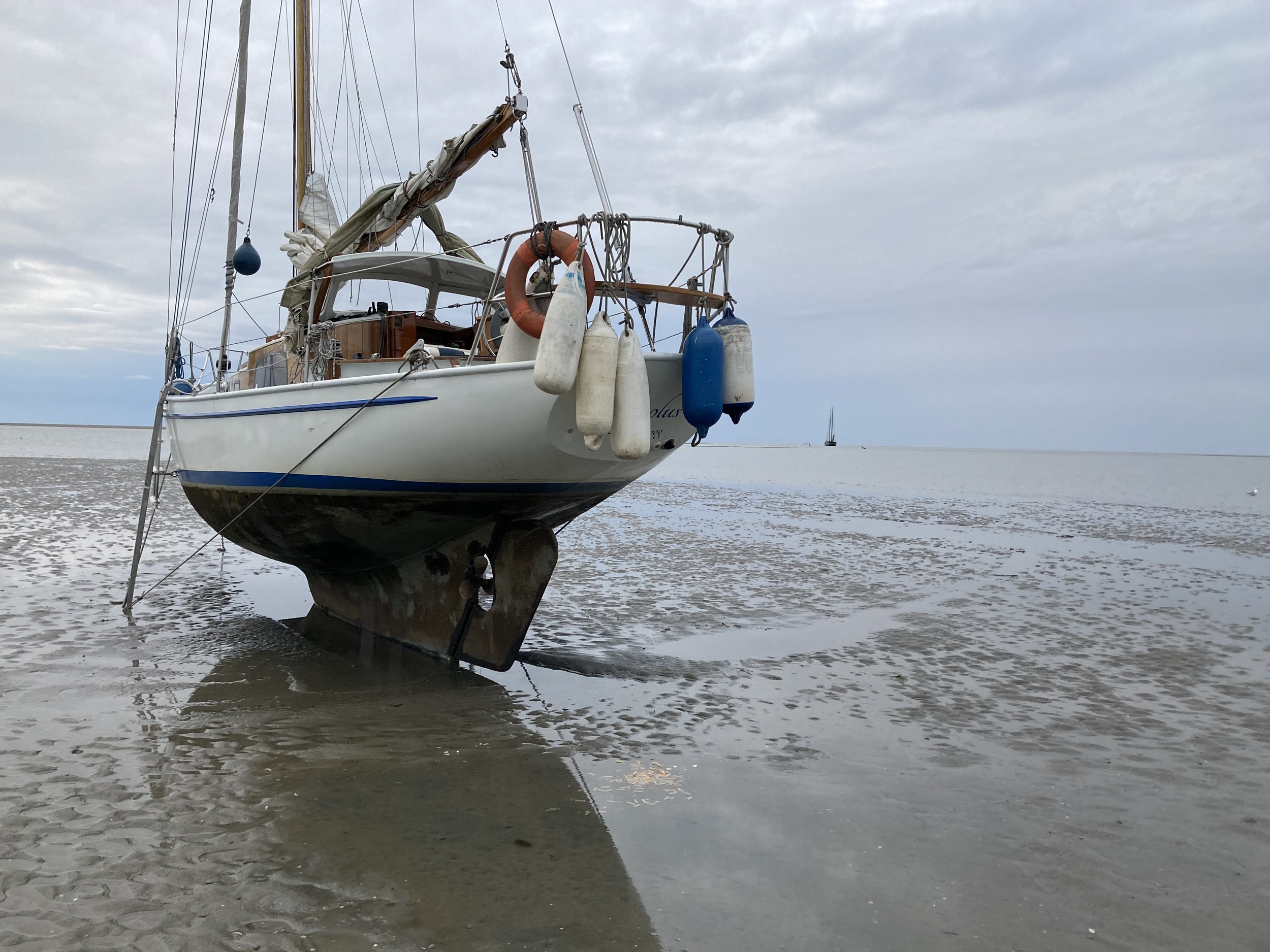 Van De Stadt Marsdiep 24 foto: 15