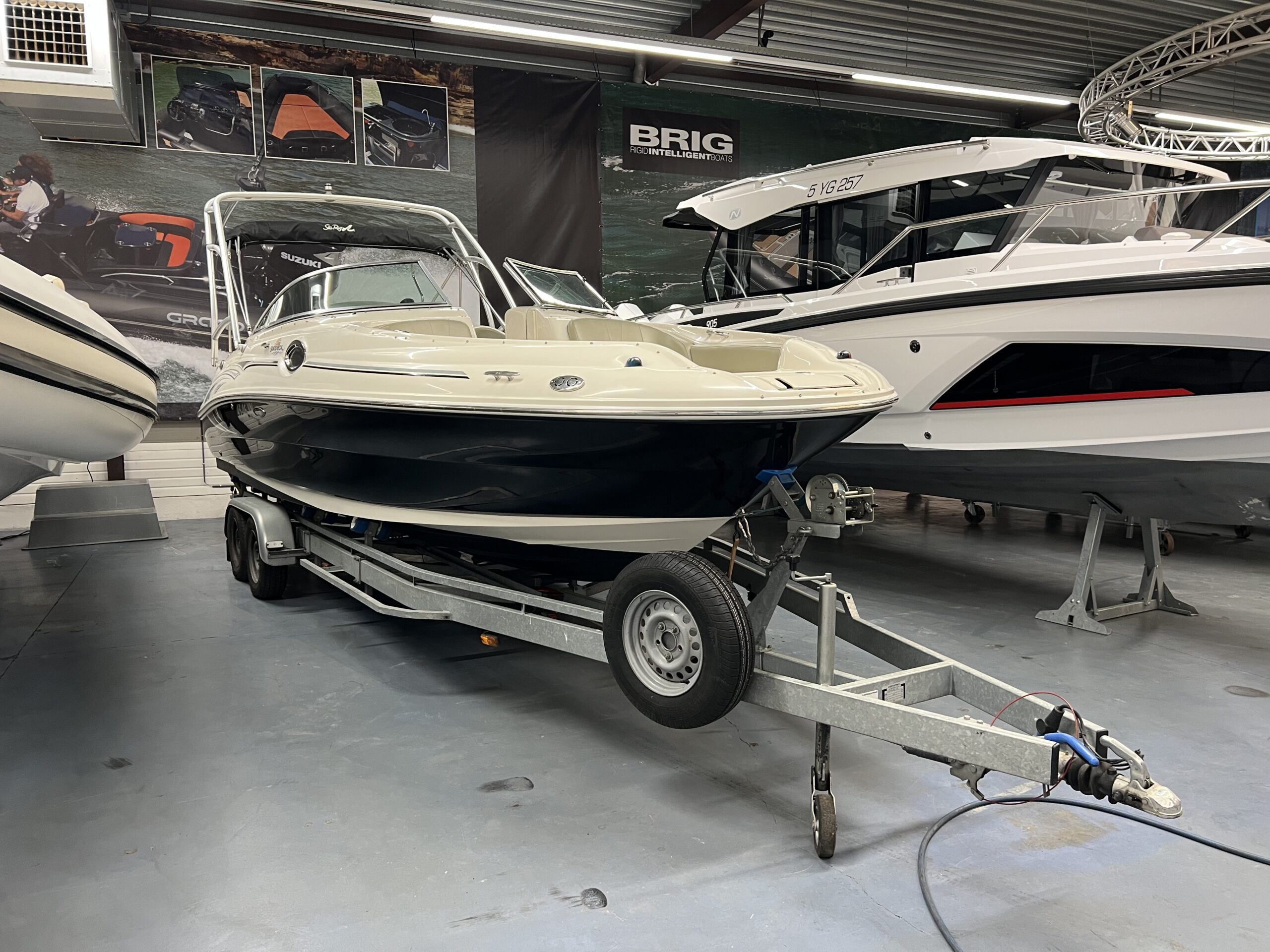 Sea Ray 
