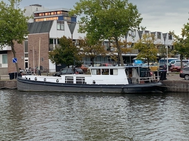 Scherpsteven 19.86 foto 2