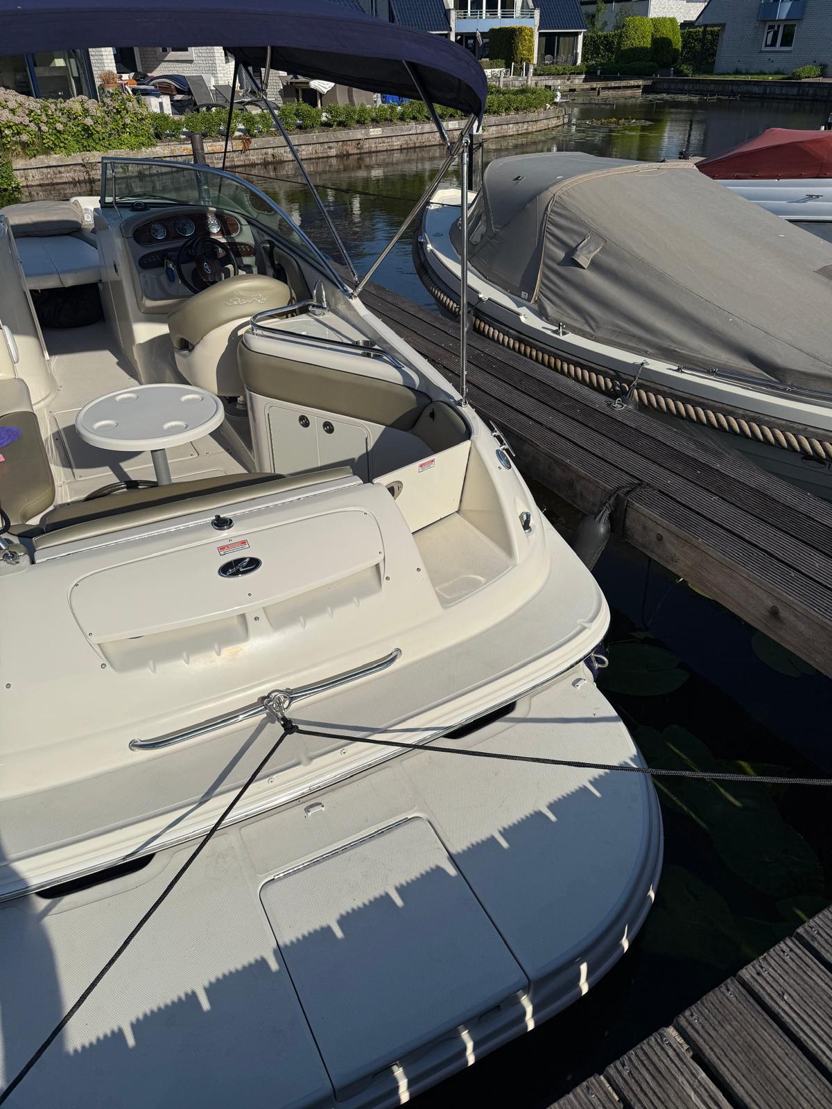 Sea Ray 240 Sundeck foto: 26