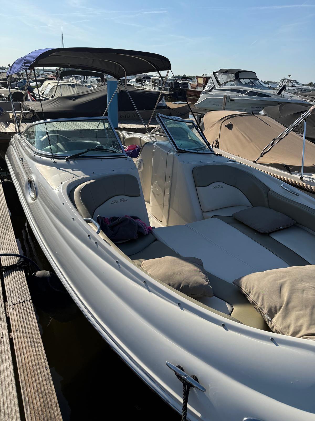 Sea Ray 240 Sundeck foto: 35