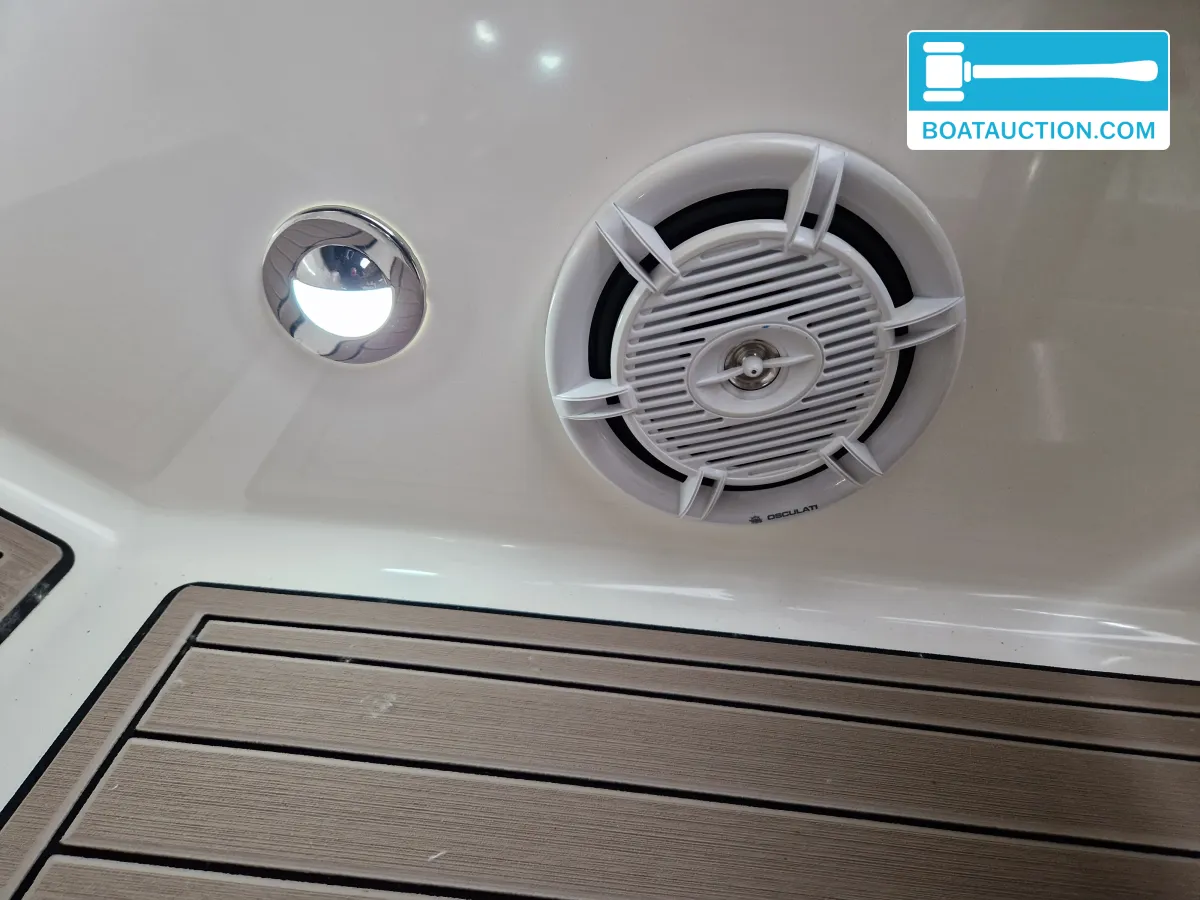 Sea Ray 250 SSE foto: 12