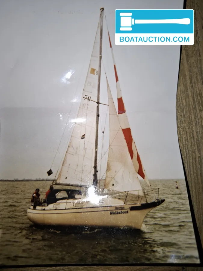 Bayfield 29 foto: 19