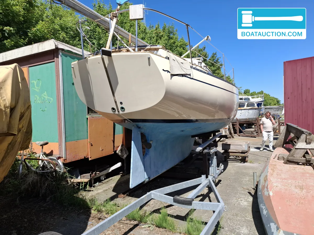 Bayfield 29