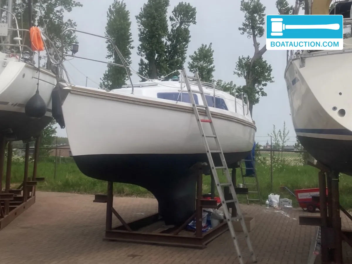 Compromis 850 AK Ohana foto 4