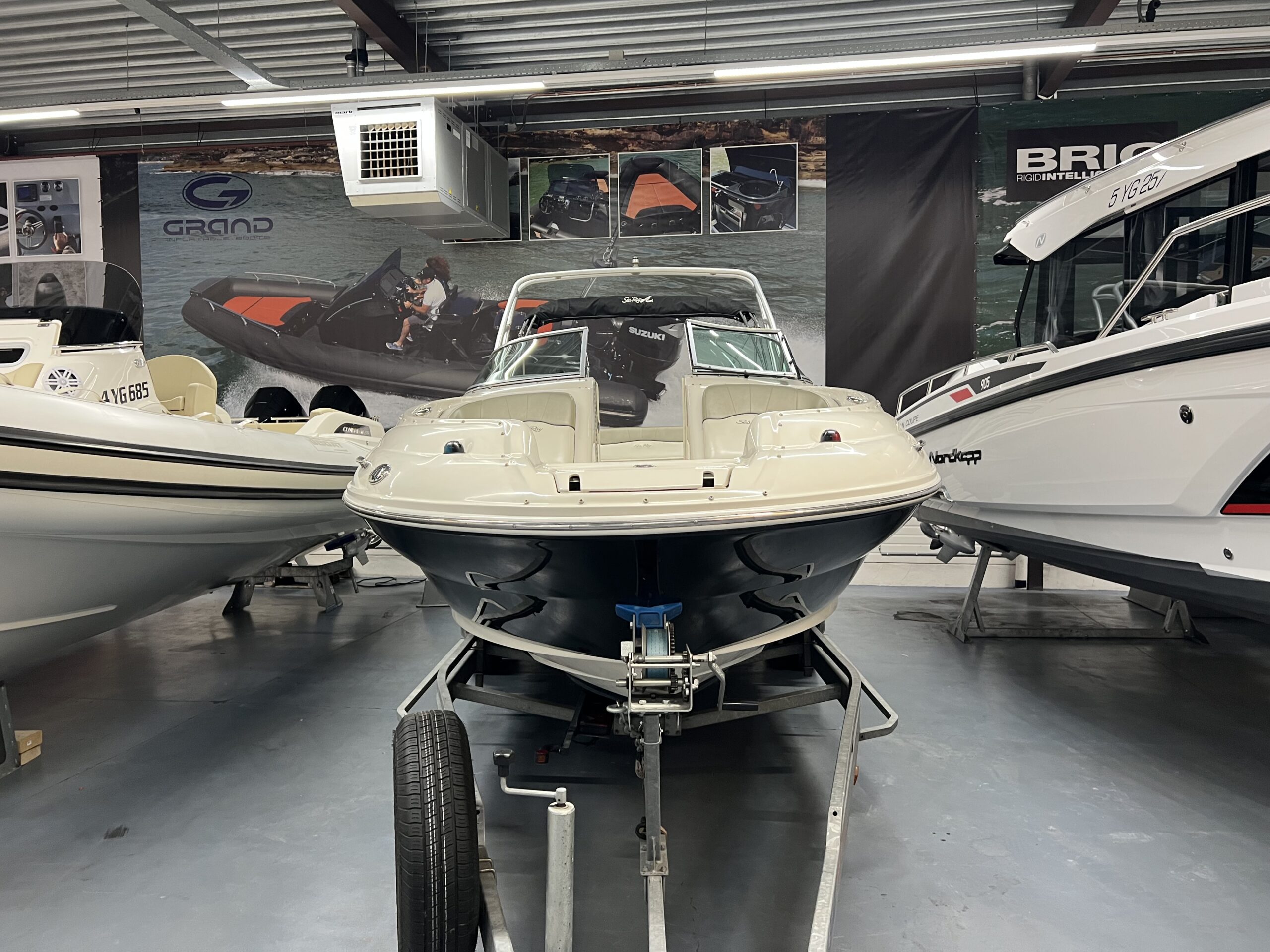 Sea Ray 