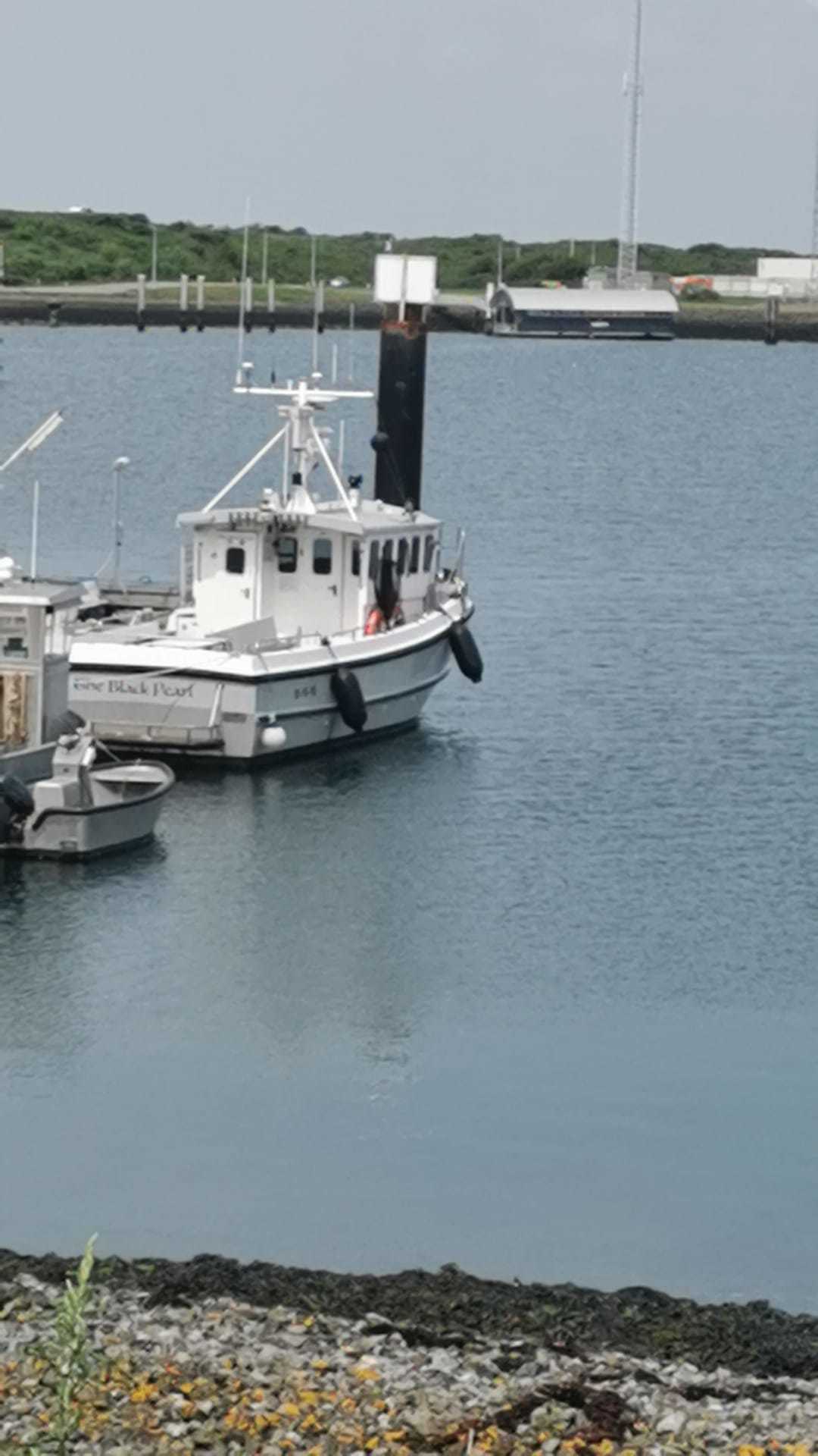 Sygnus Vissersboot Catfish foto 2