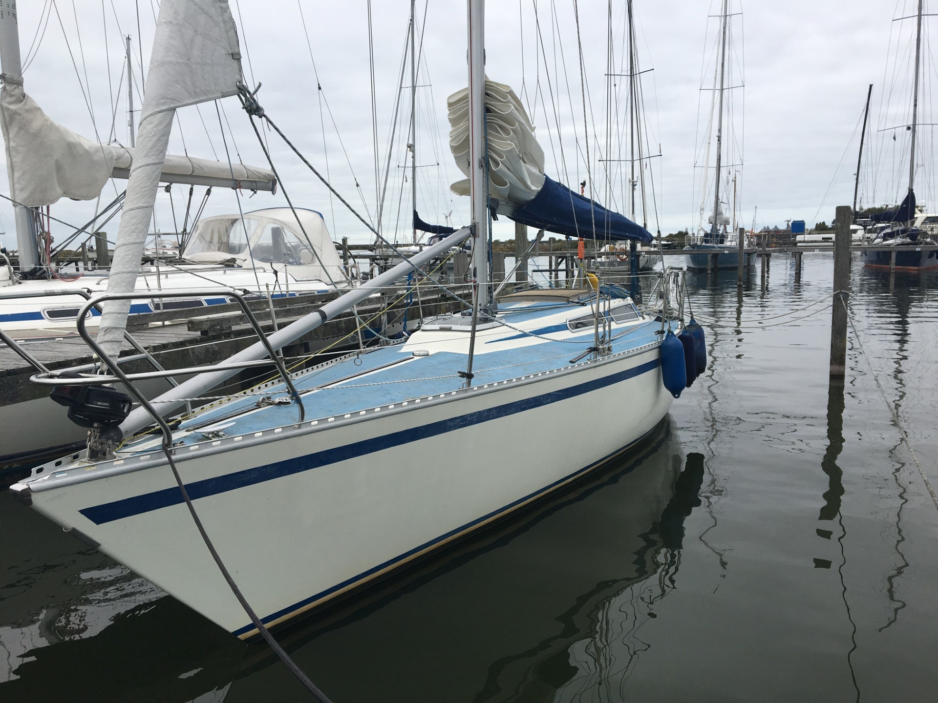 Fly 34 Mosquito 104 foto 5