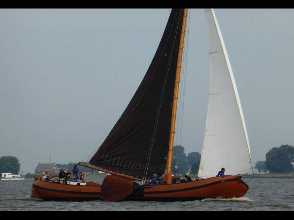 Noordzeebotter 17.50
