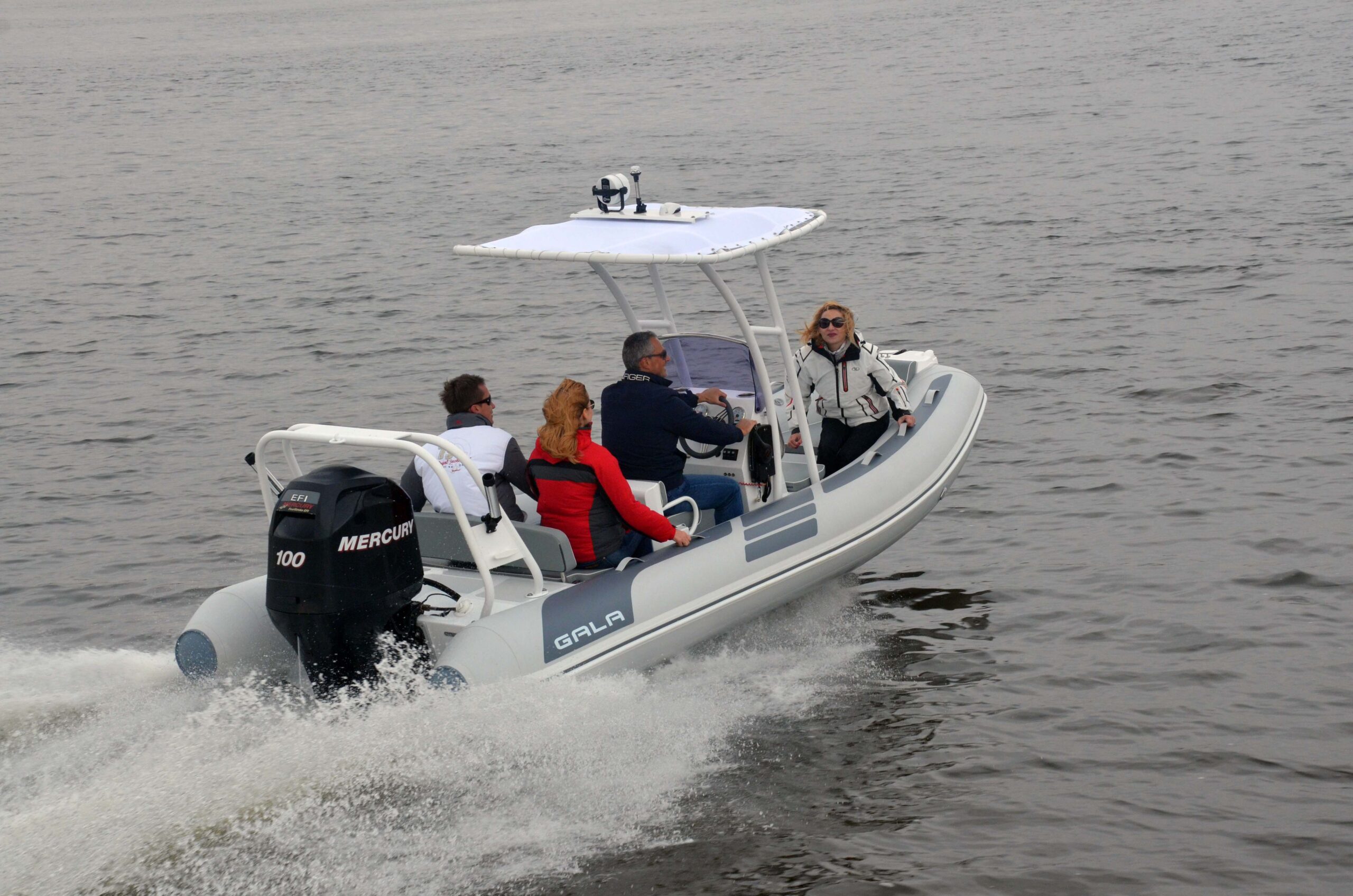 Gala Viking