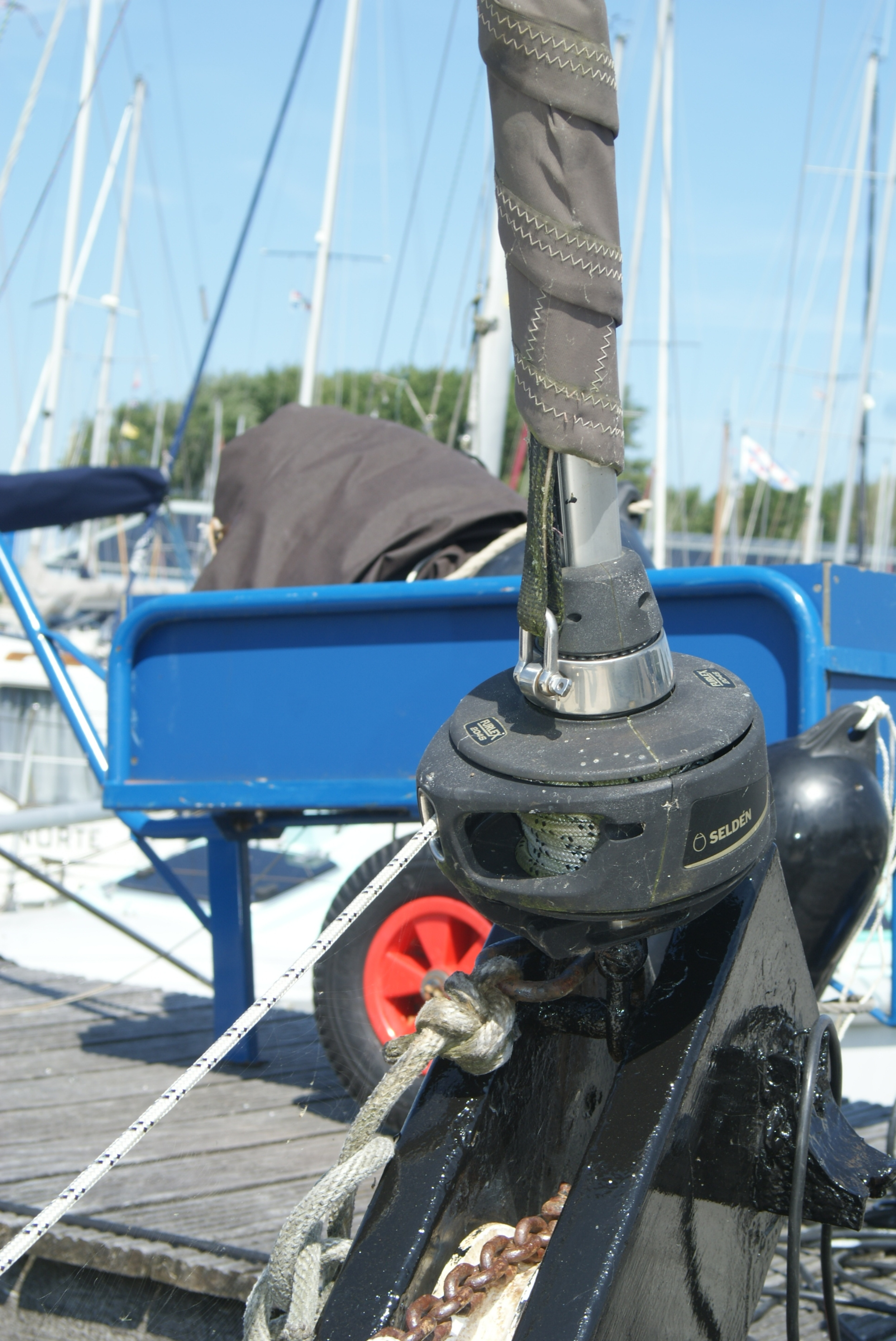 Schokker Paans foto: 30