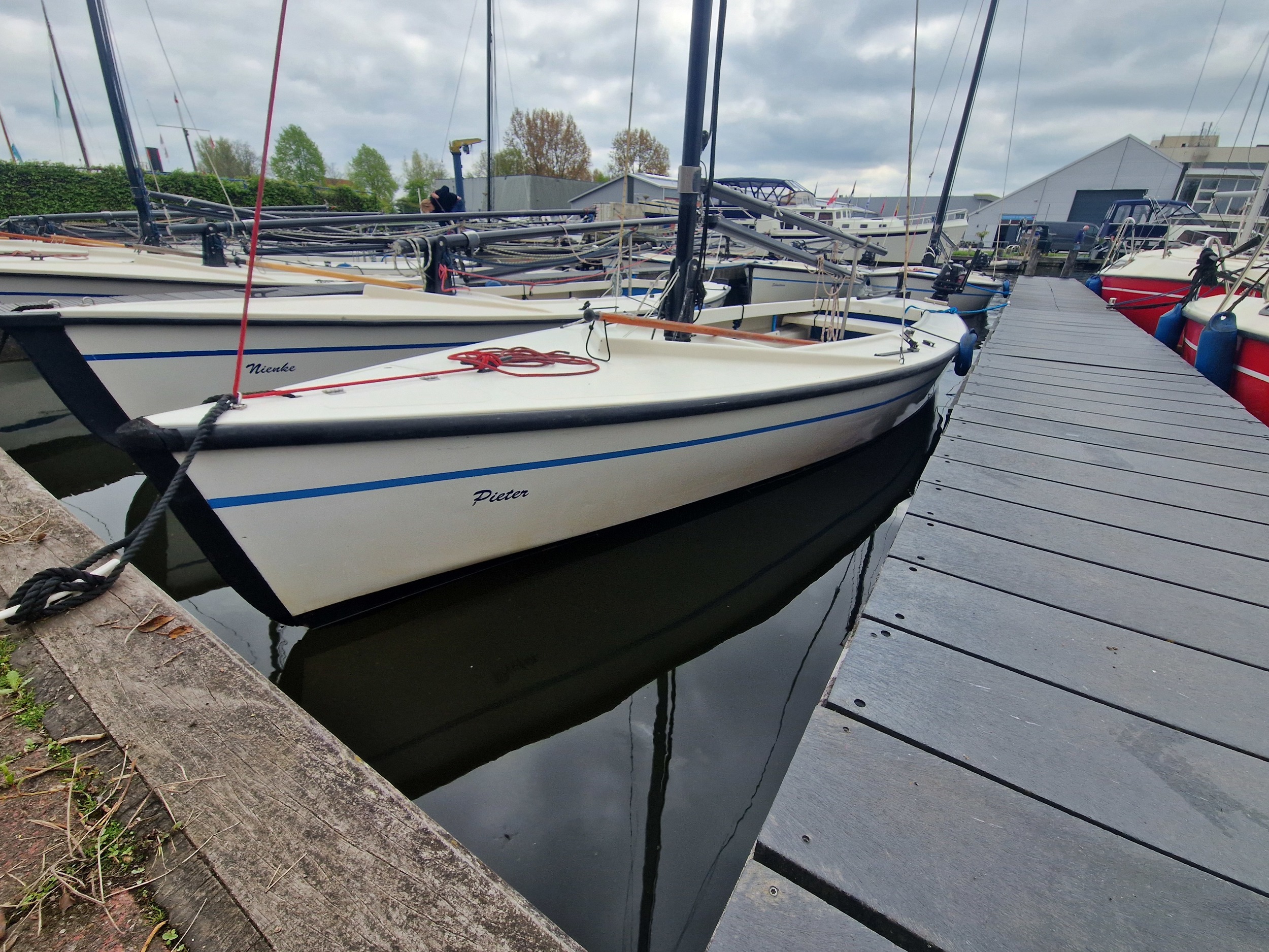 Polyvalk 6.65 hoofdfoto: 1