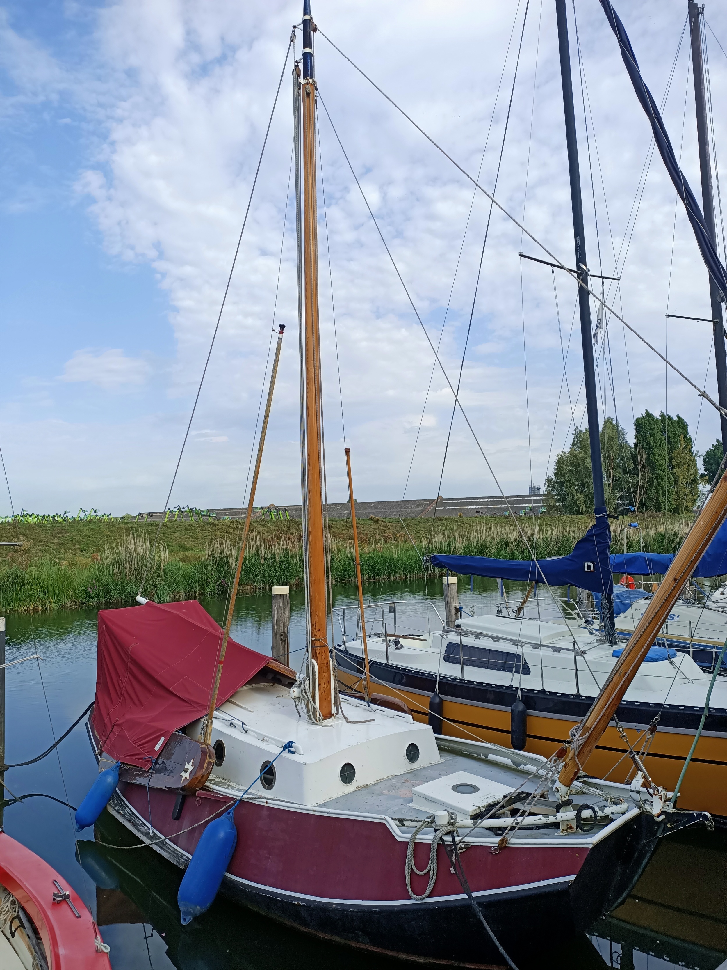 Zeeschouw 7.00 foto 4