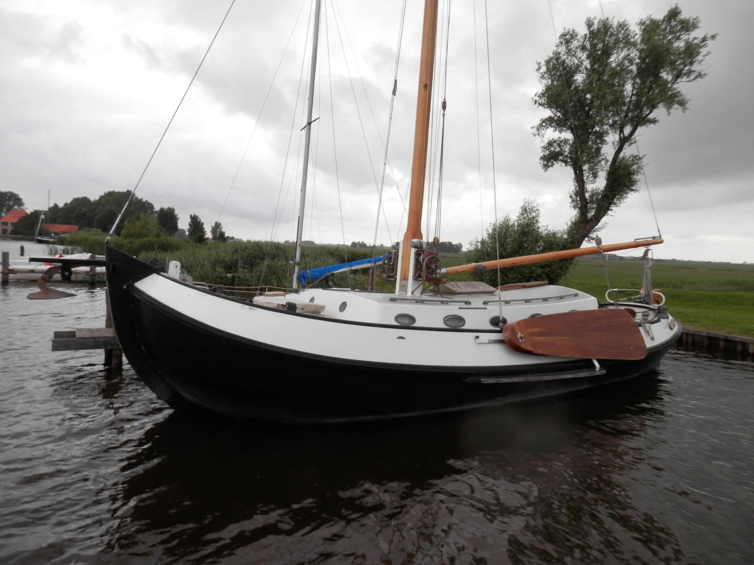 Blom Lemsteraak 12.10 Roefaak