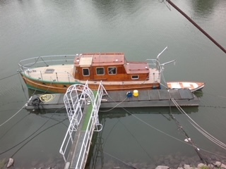 Backdecker 9.10 foto 1