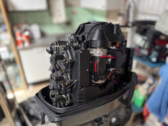 Suzuki 30PK 2Takt foto: 5