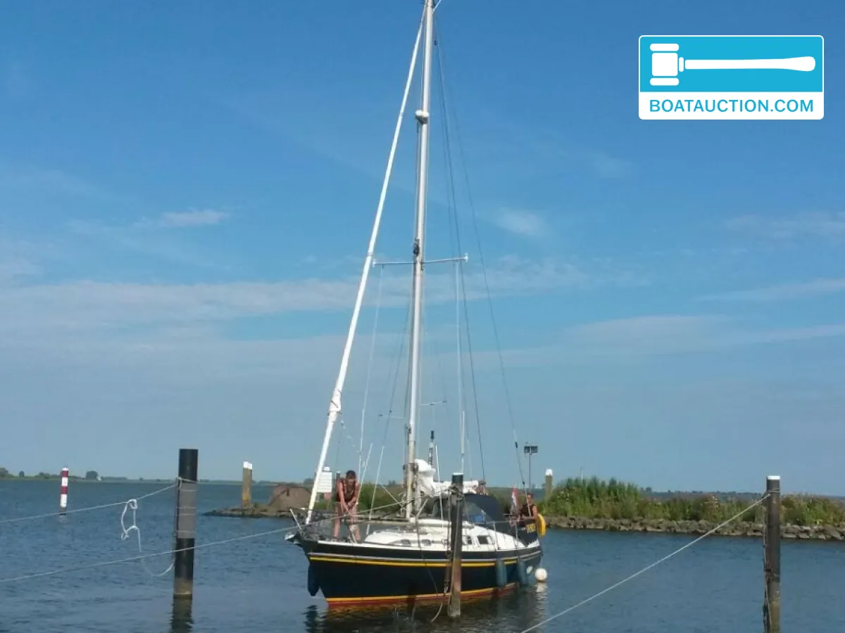 Contest 31 ft foto 3