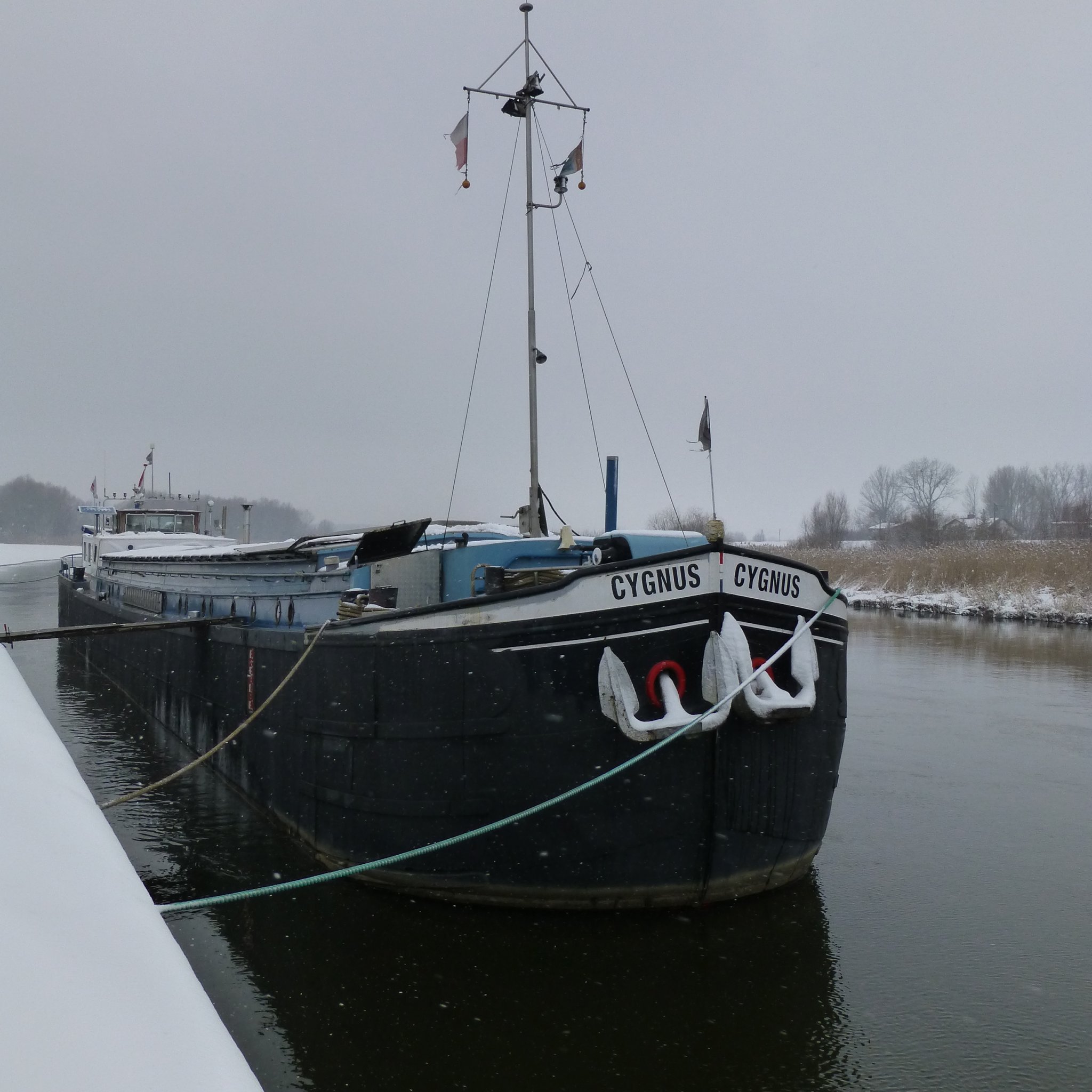 Kustvaarder 48.99