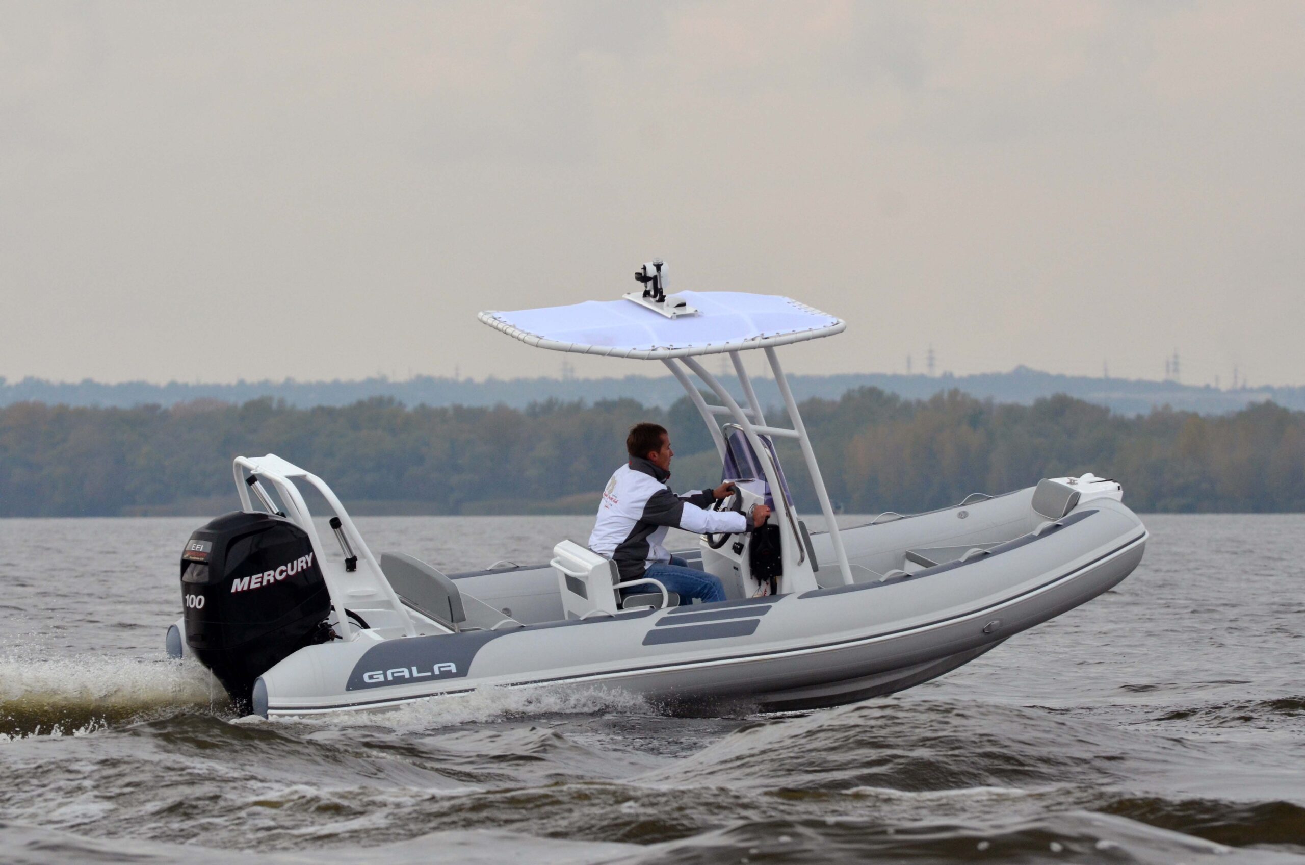Gala Viking
