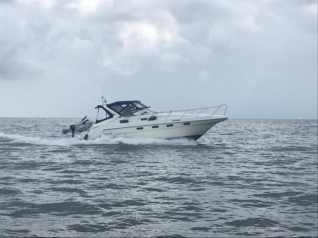 Sealine S37 foto 4