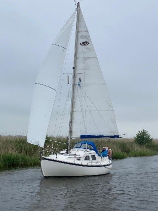 Midget 26
