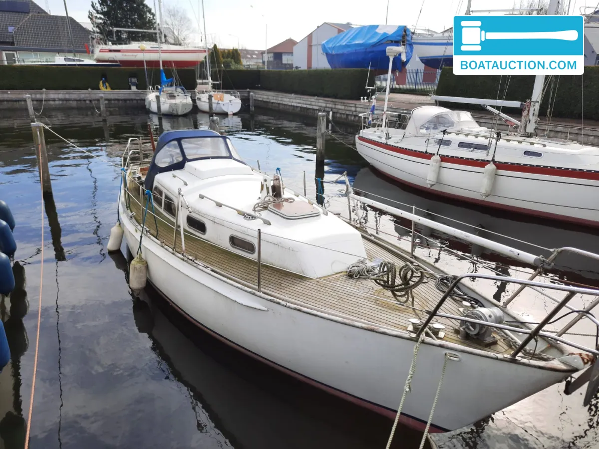 Narrowboat 1000