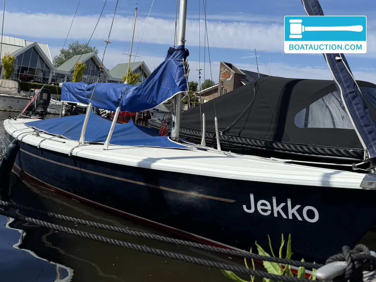 Delphin 66