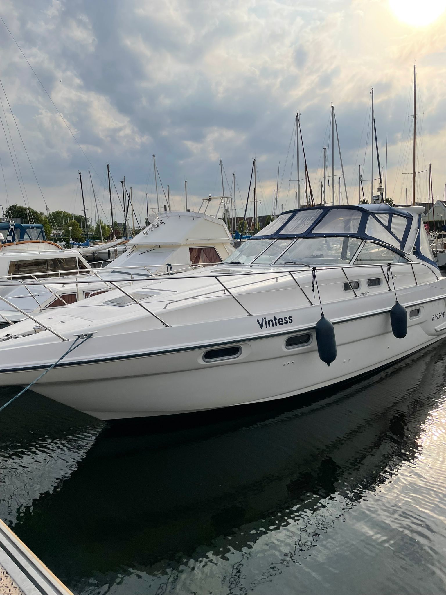 Sealine S37 foto 2