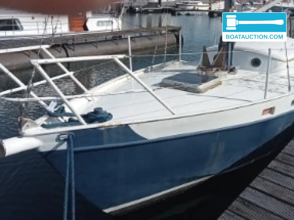 Pieter Beeldsnijder Gouwzee foto 2