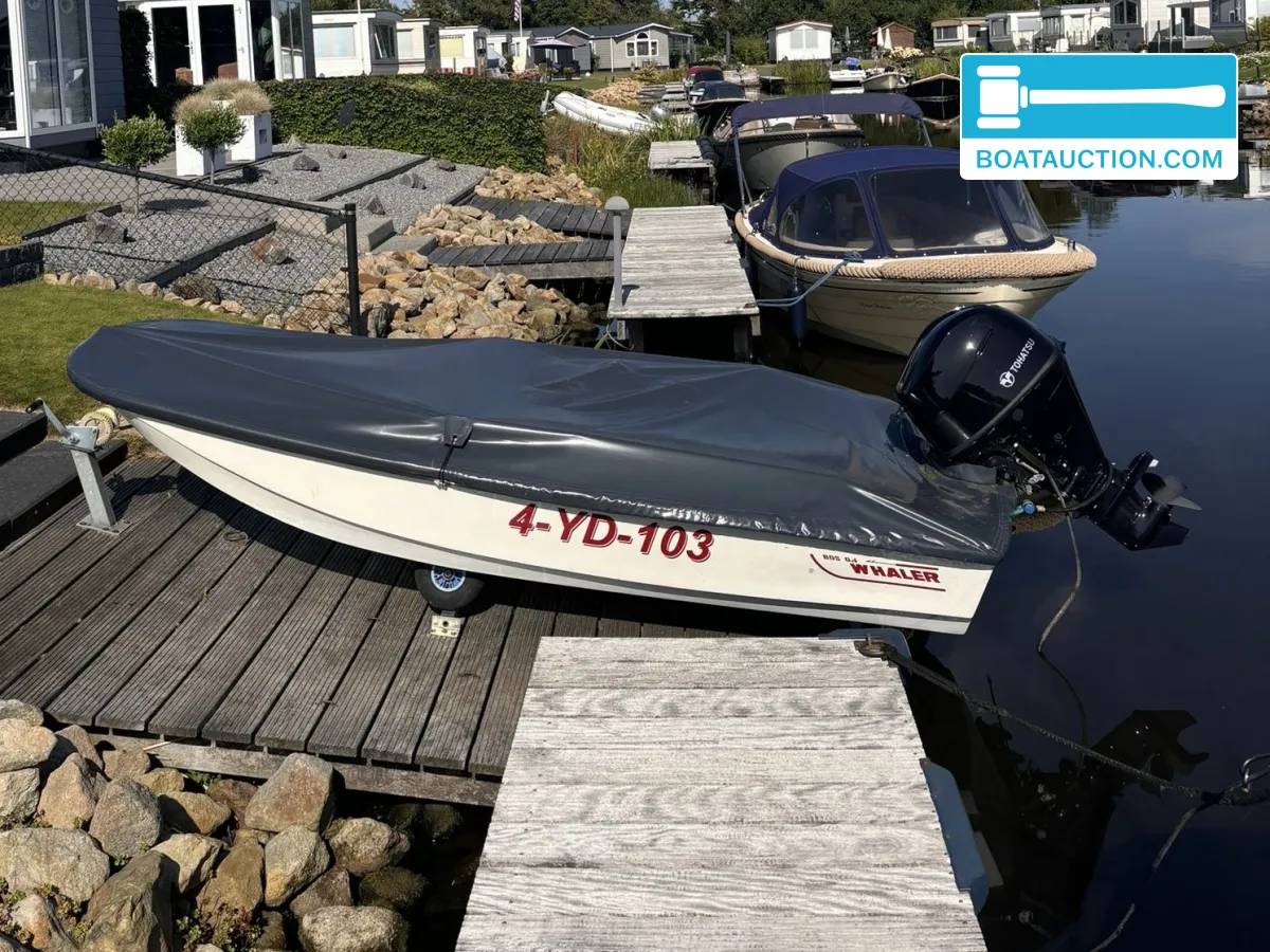 Boston Whaler 11ft foto 4