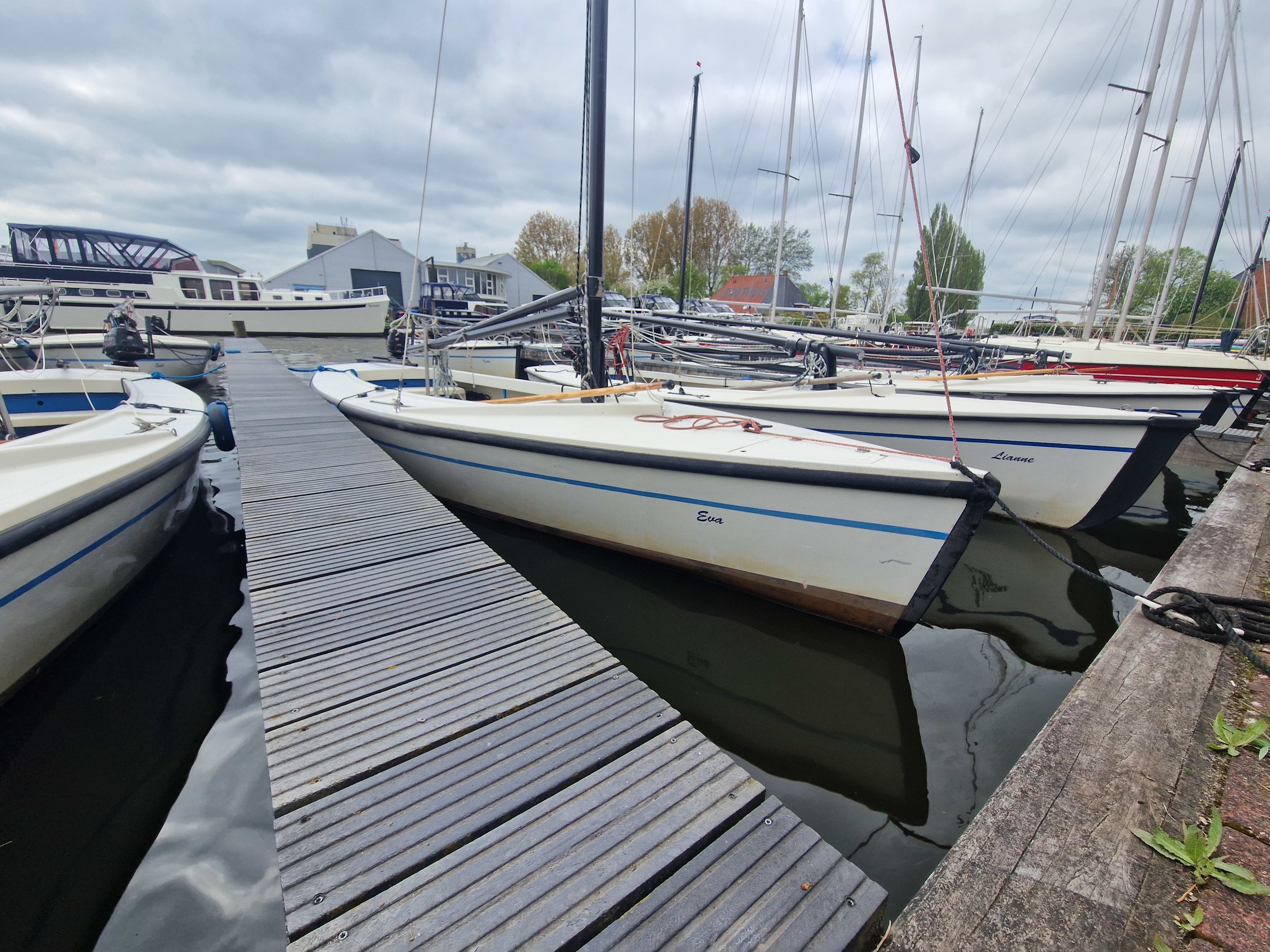 Polyvalk 6.65 hoofdfoto: 1