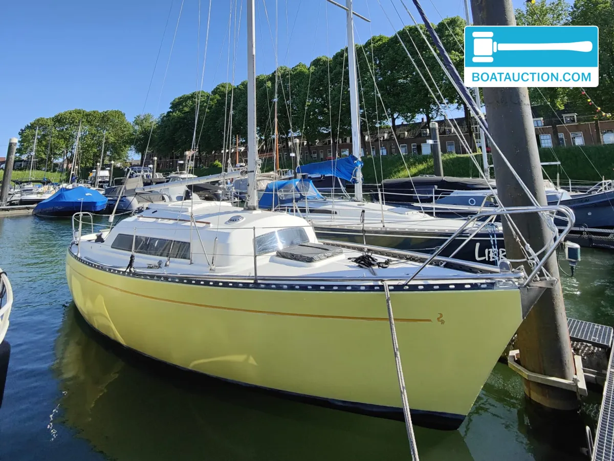 Sturgeon 28