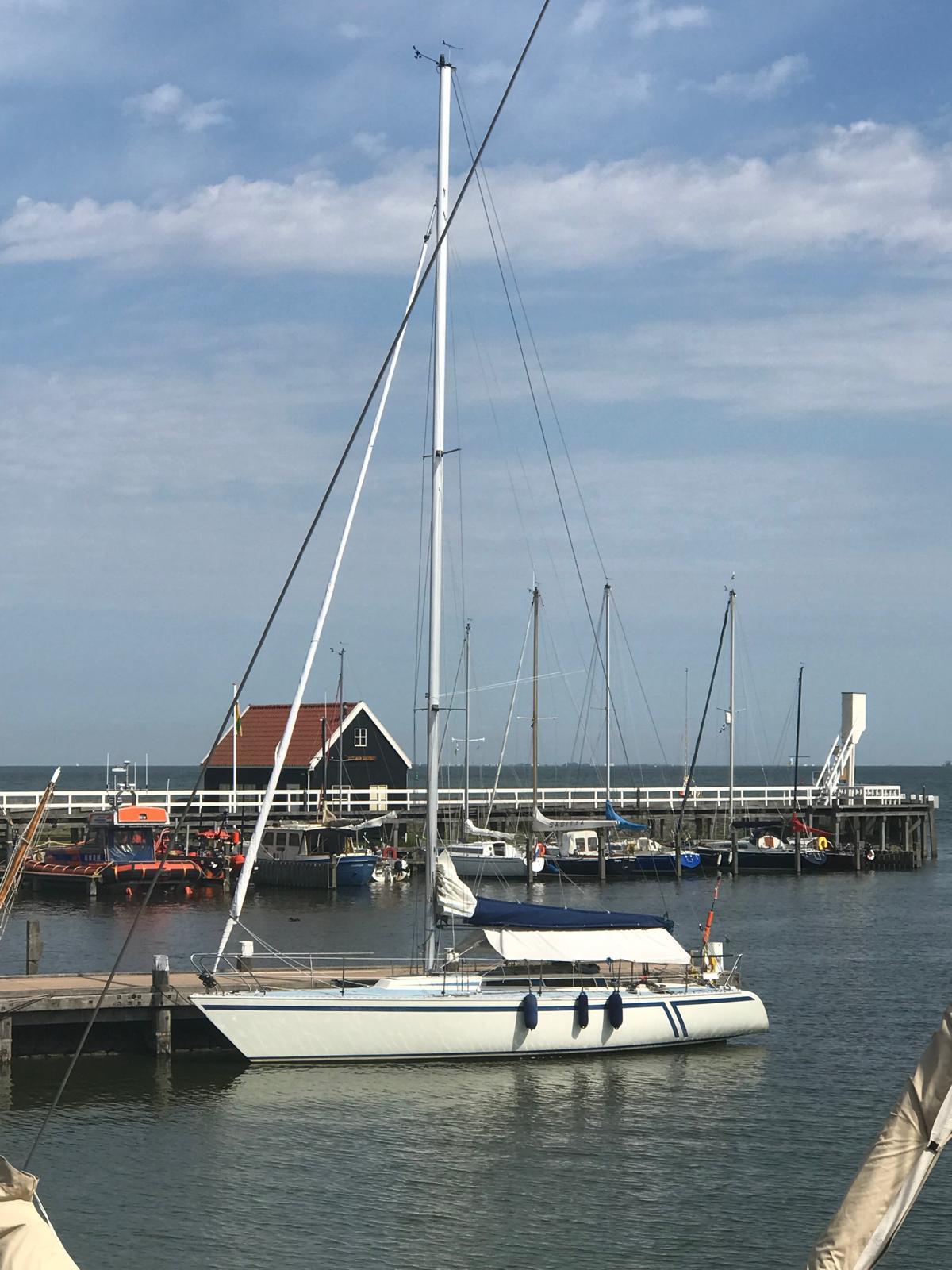 Fly 34 Mosquito 104 foto 4