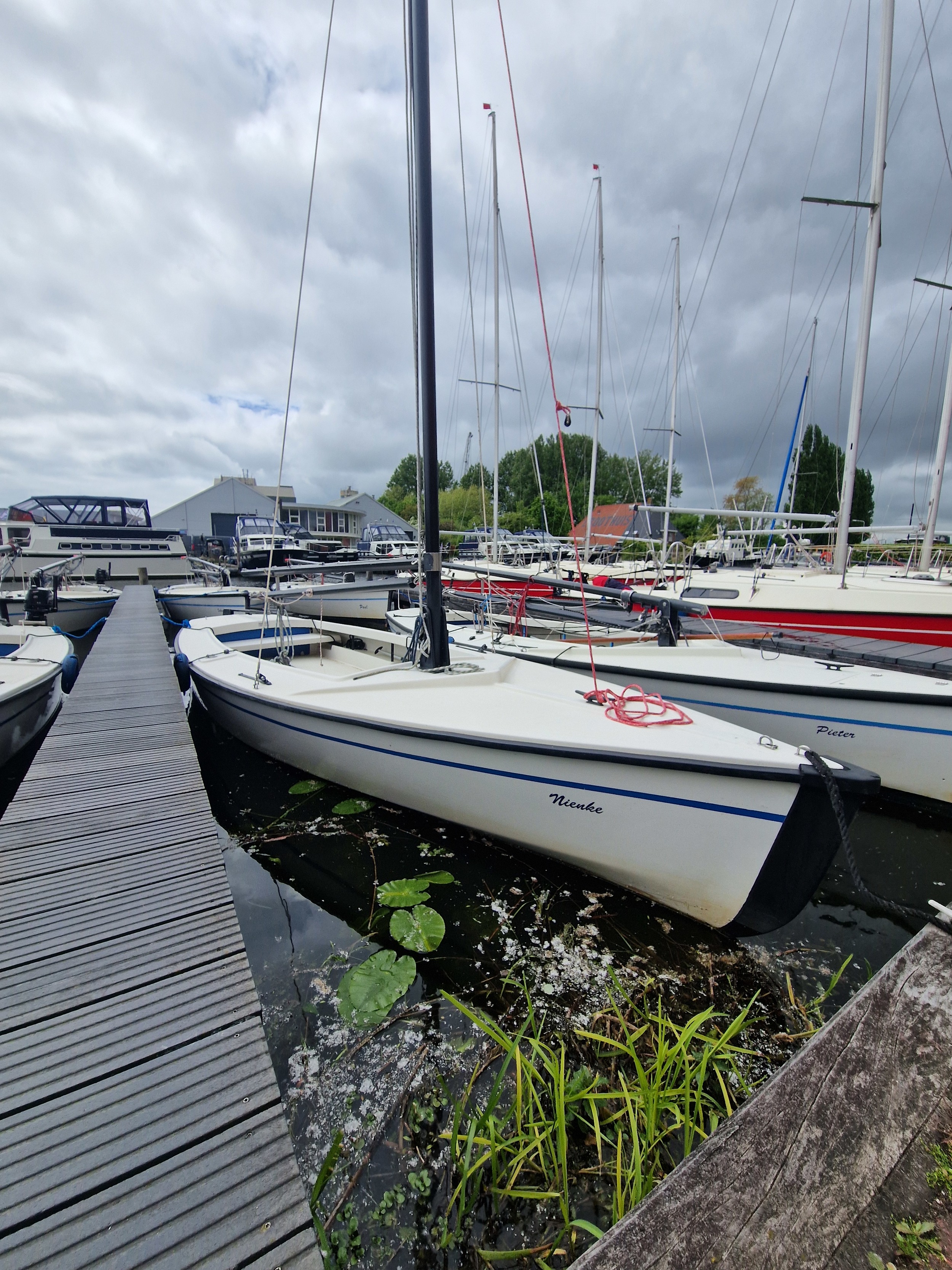 Polyvalk 6.65 foto: 1