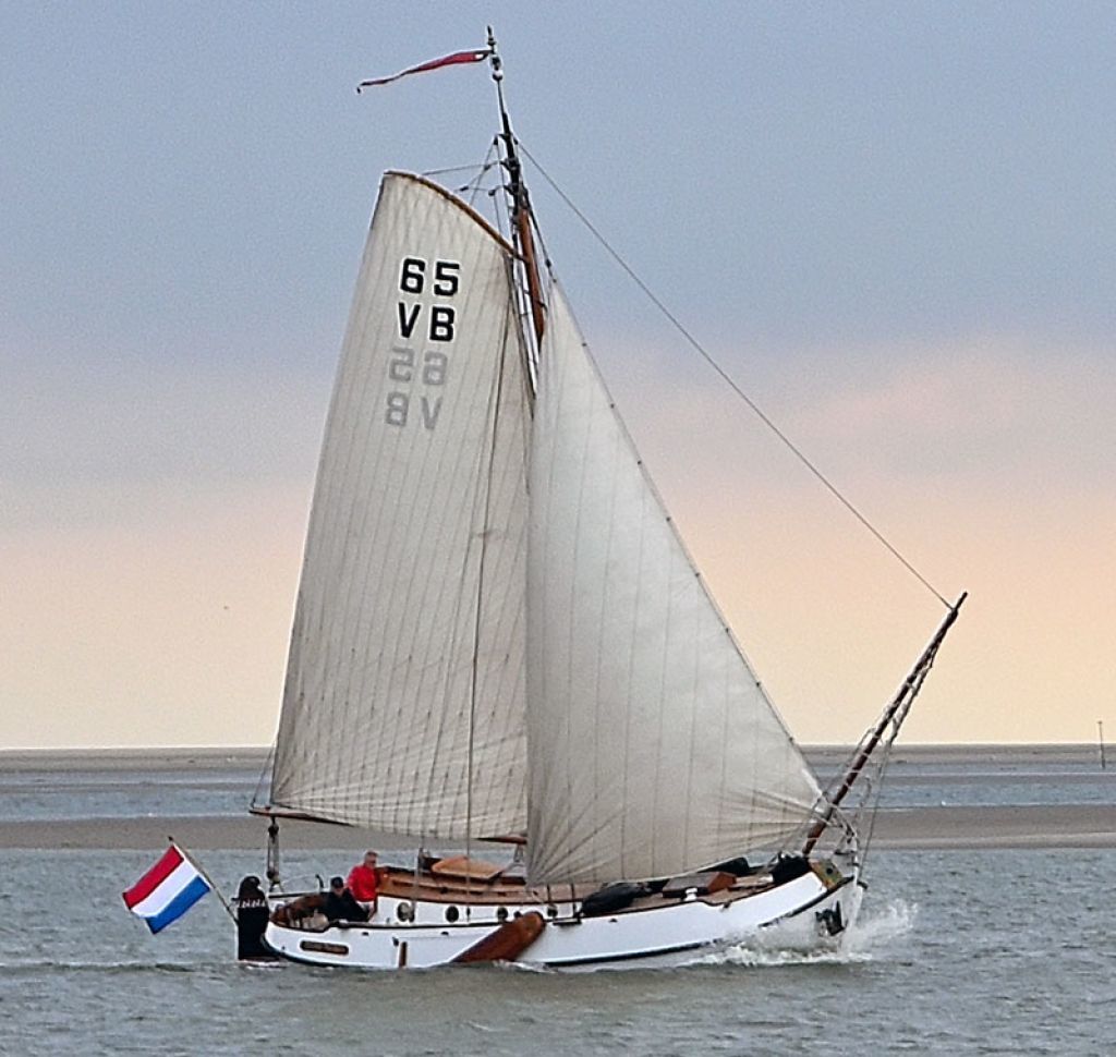 Vreedenburgh Schokker 9.84
