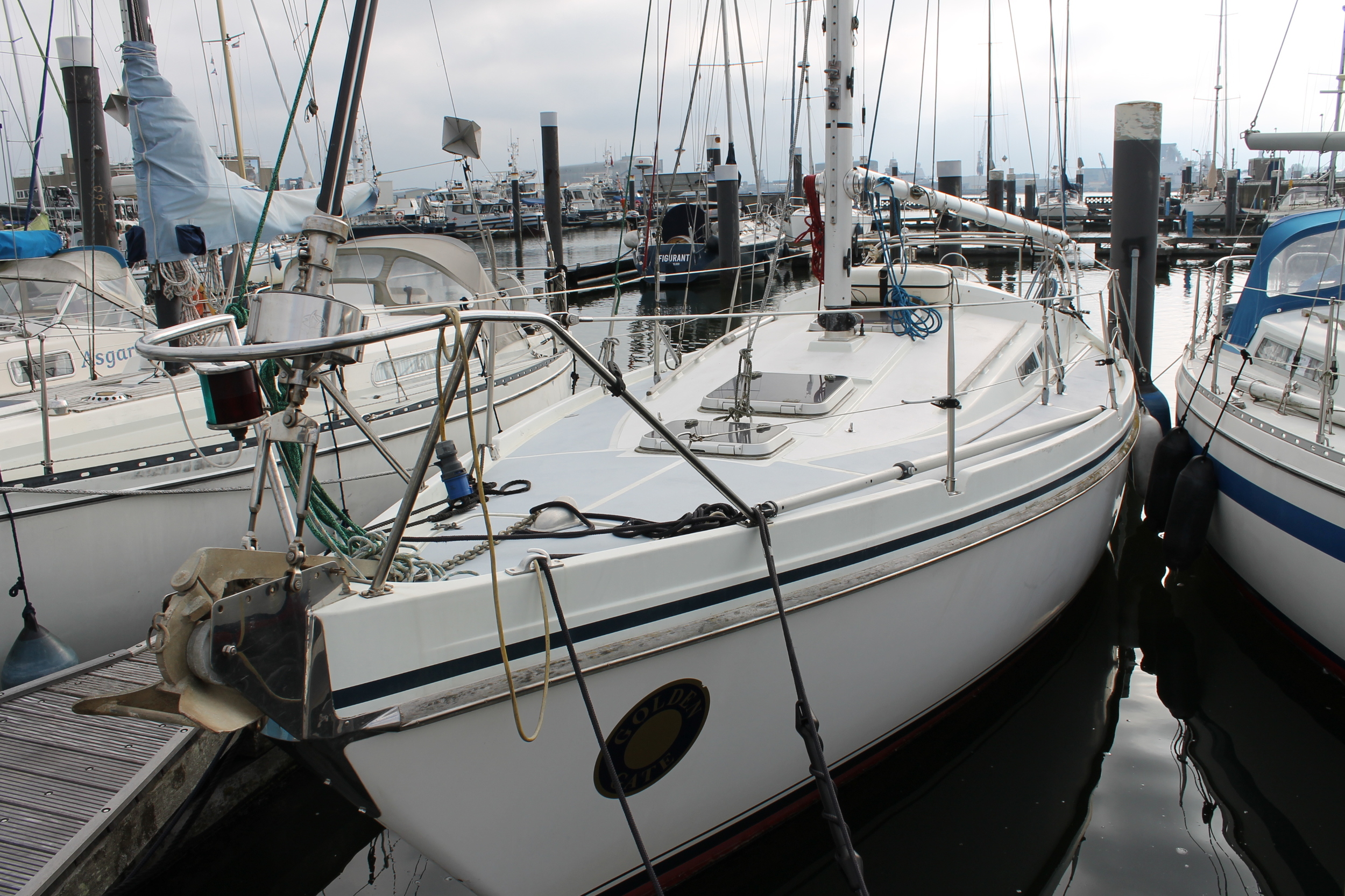 Contest 31 HT foto 4