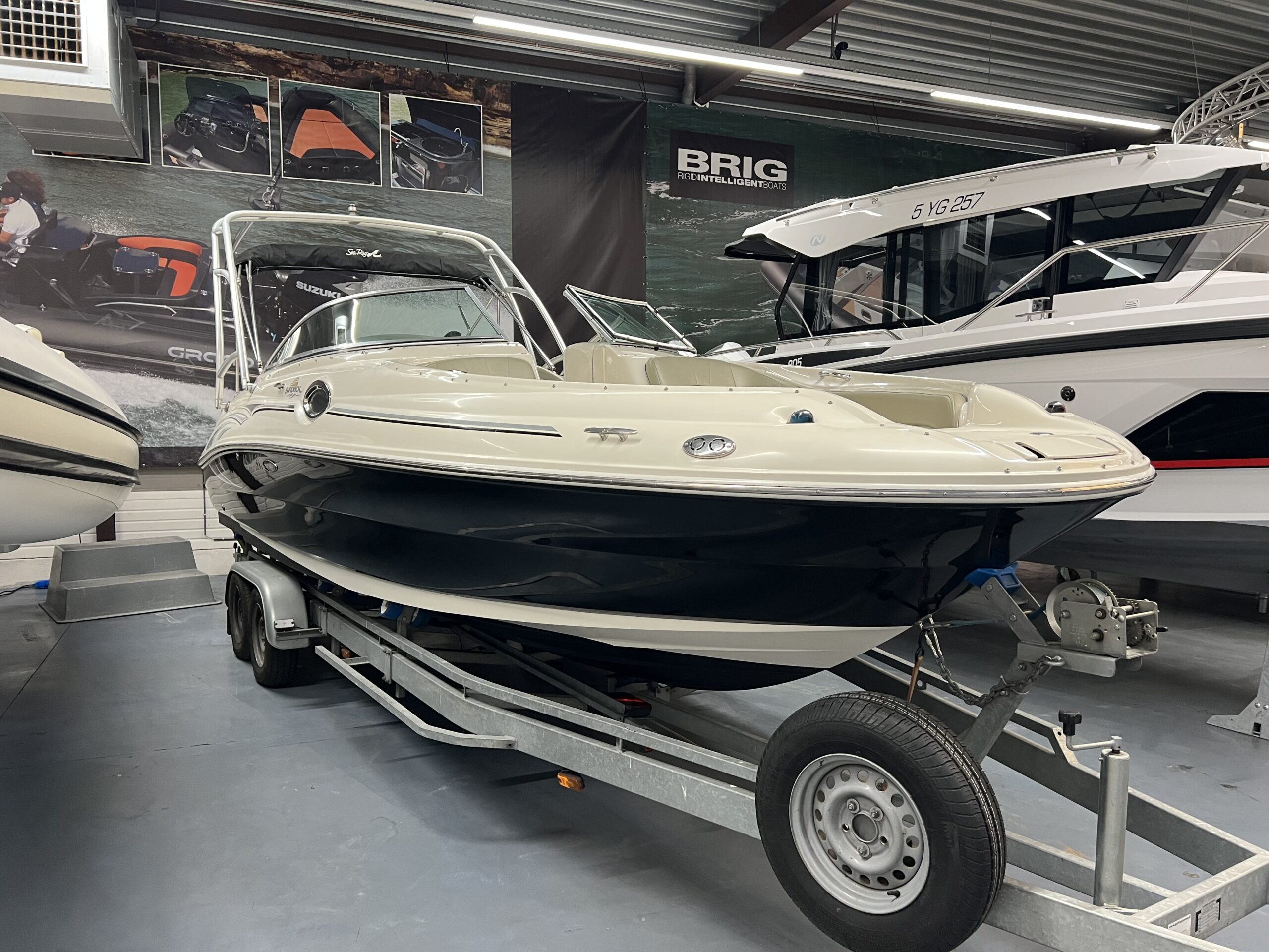 Sea Ray  foto: 14