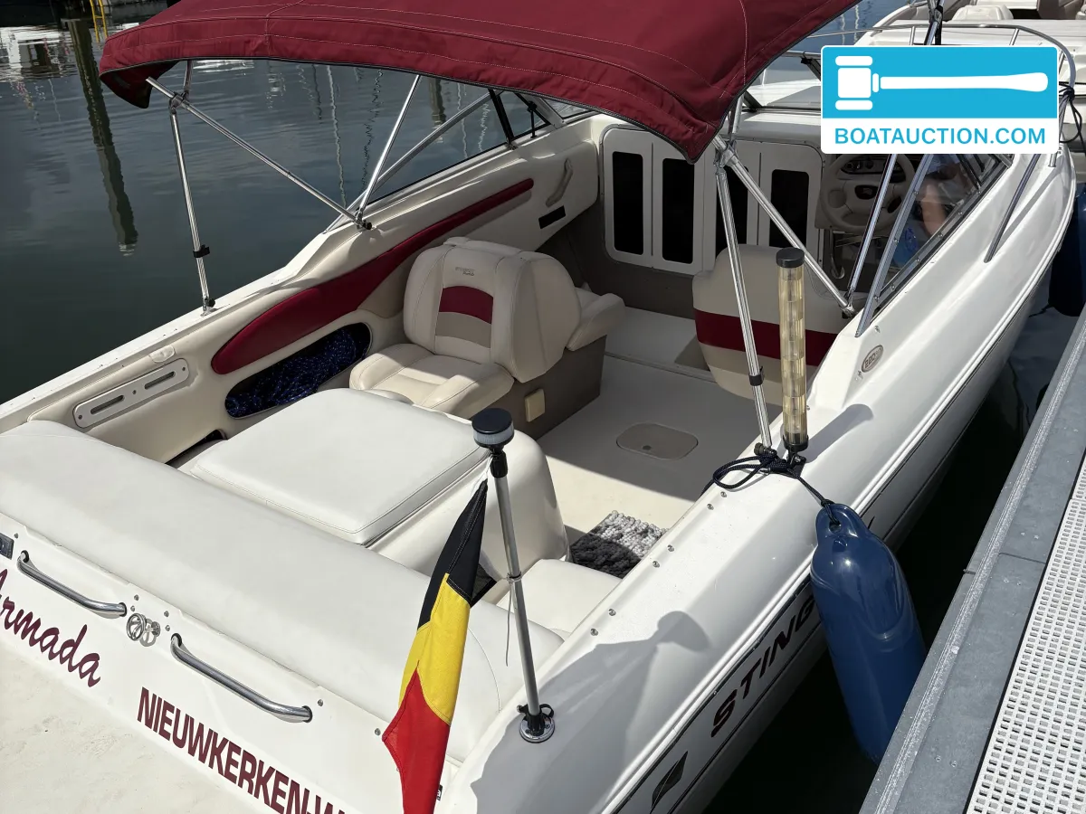 Stingray 220 foto 4