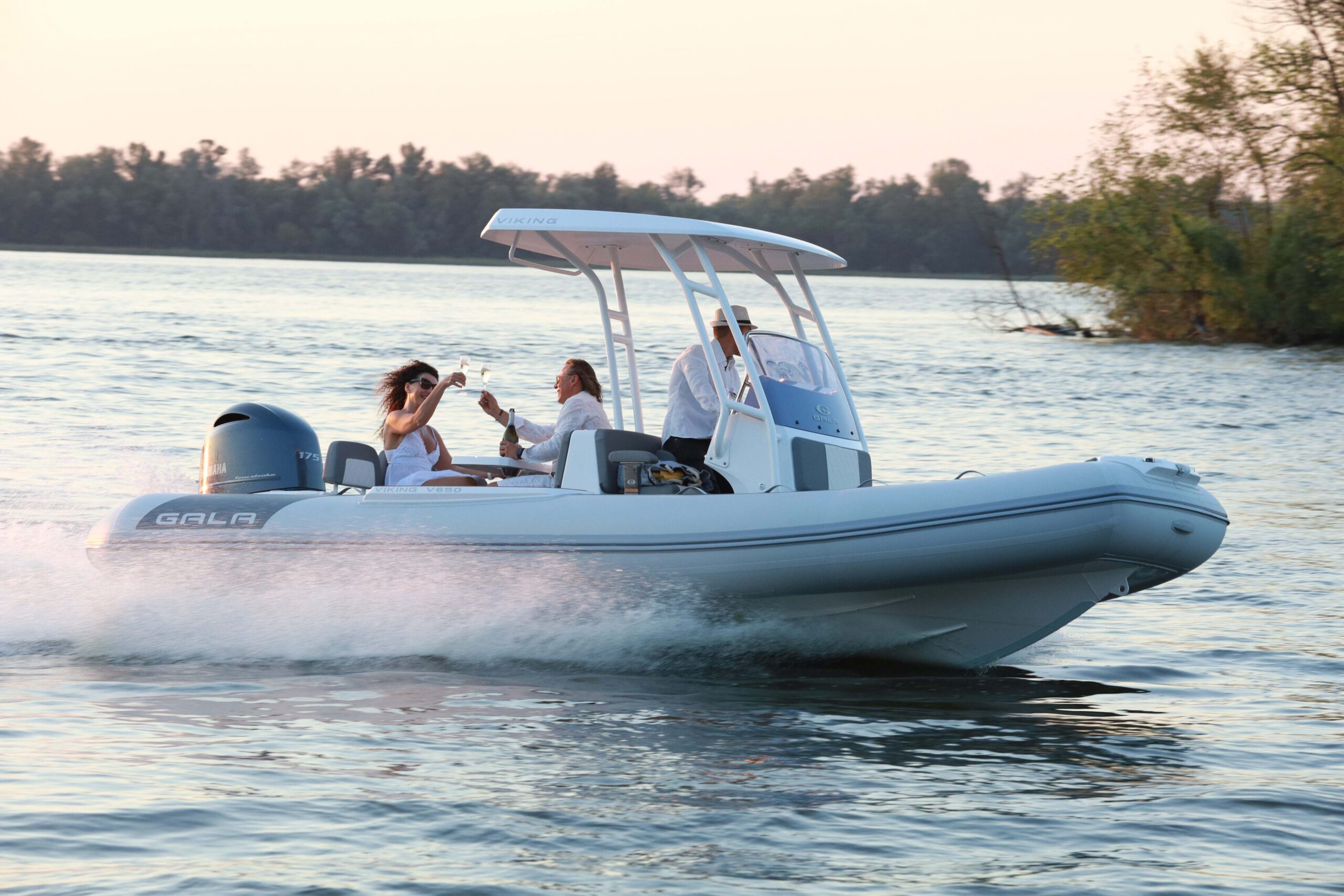 Gala Viking