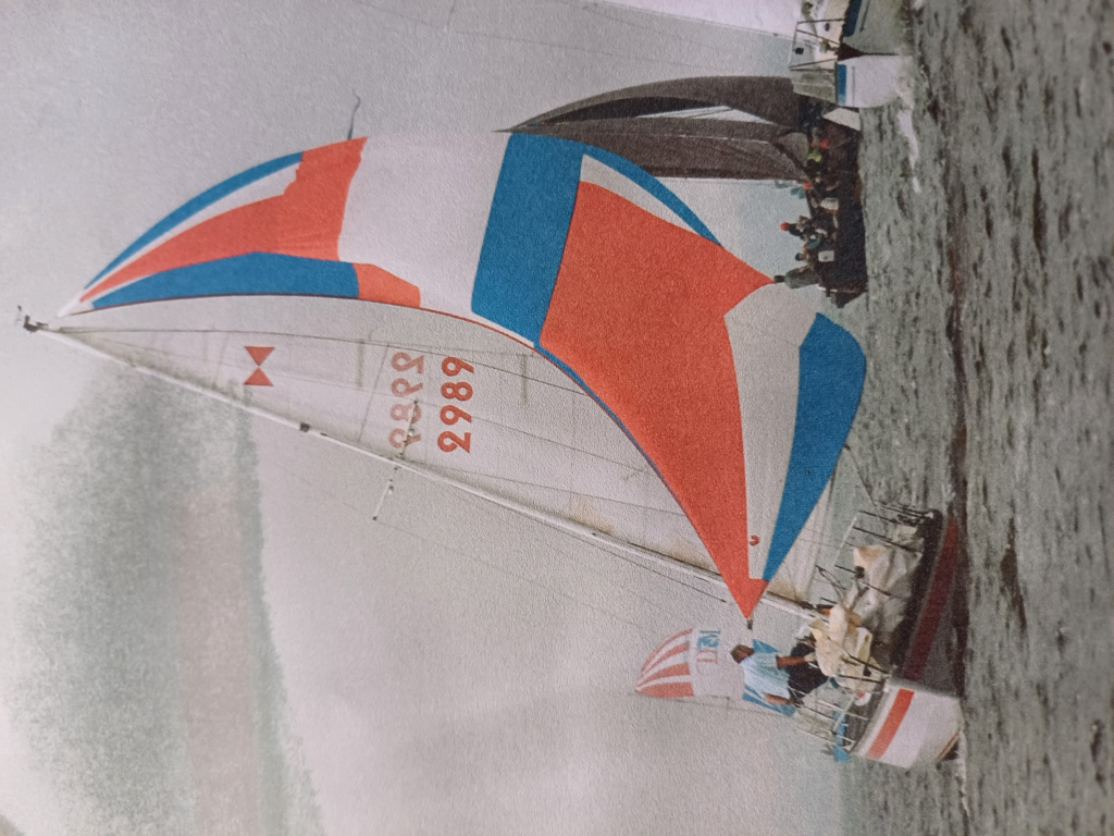 Dompkruiser 27 ft