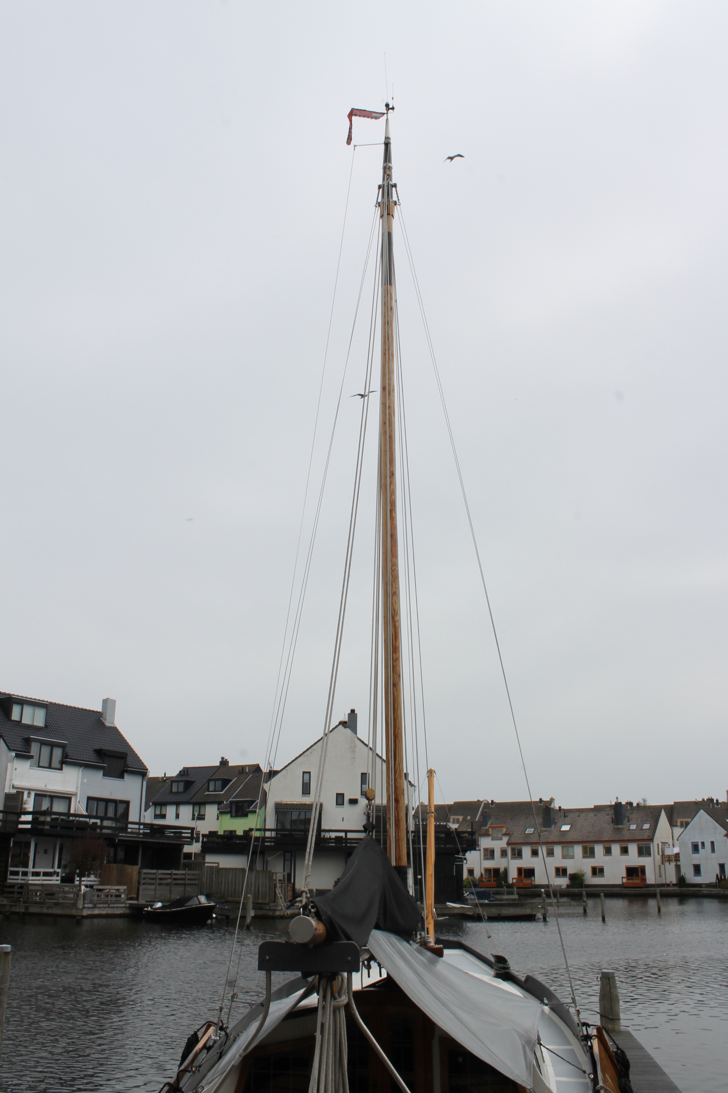 Zeeschouw Van Twillert Spakenburg 10.00 foto: 59