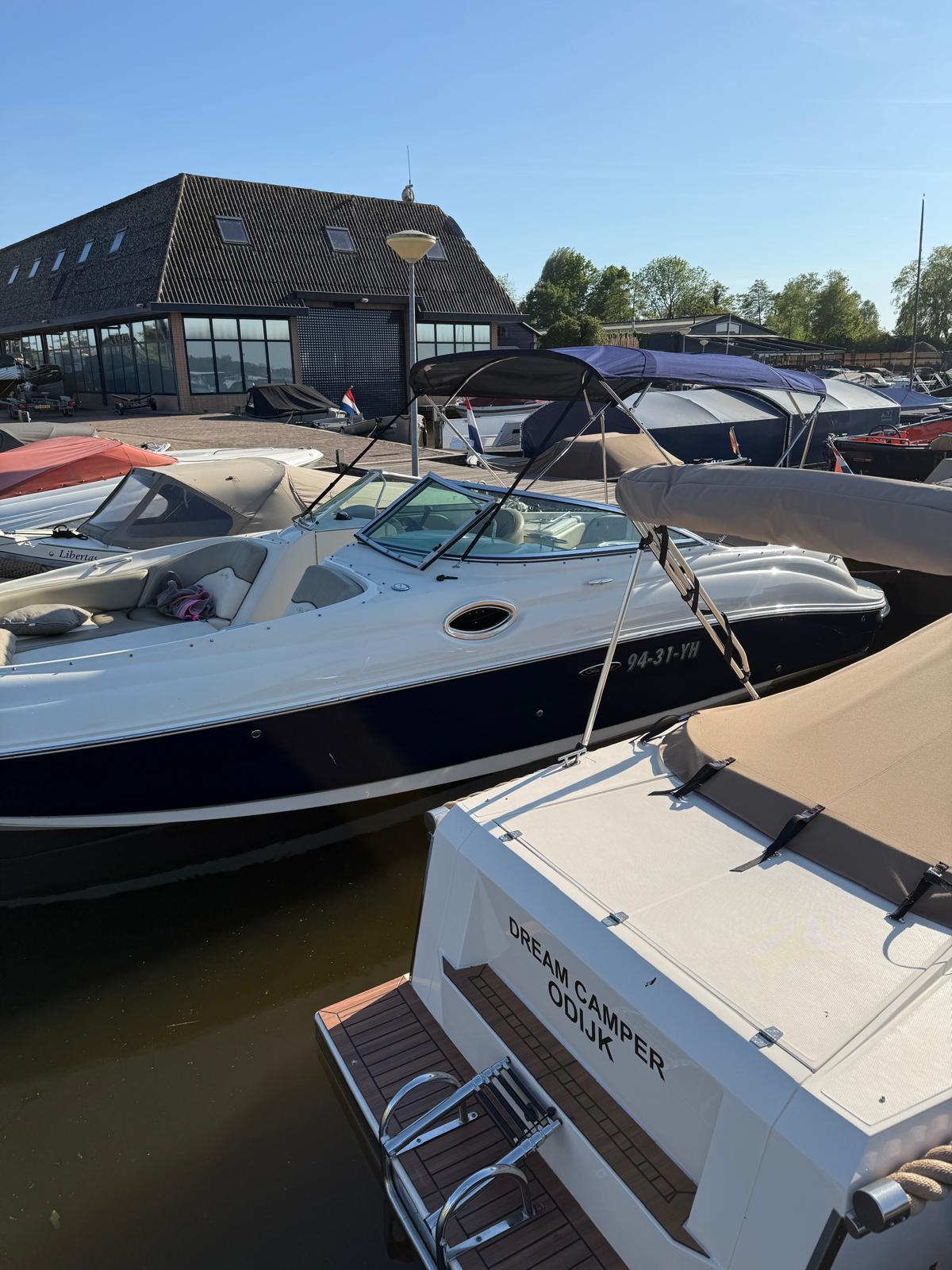 Sea Ray 240 Sundeck foto: 36