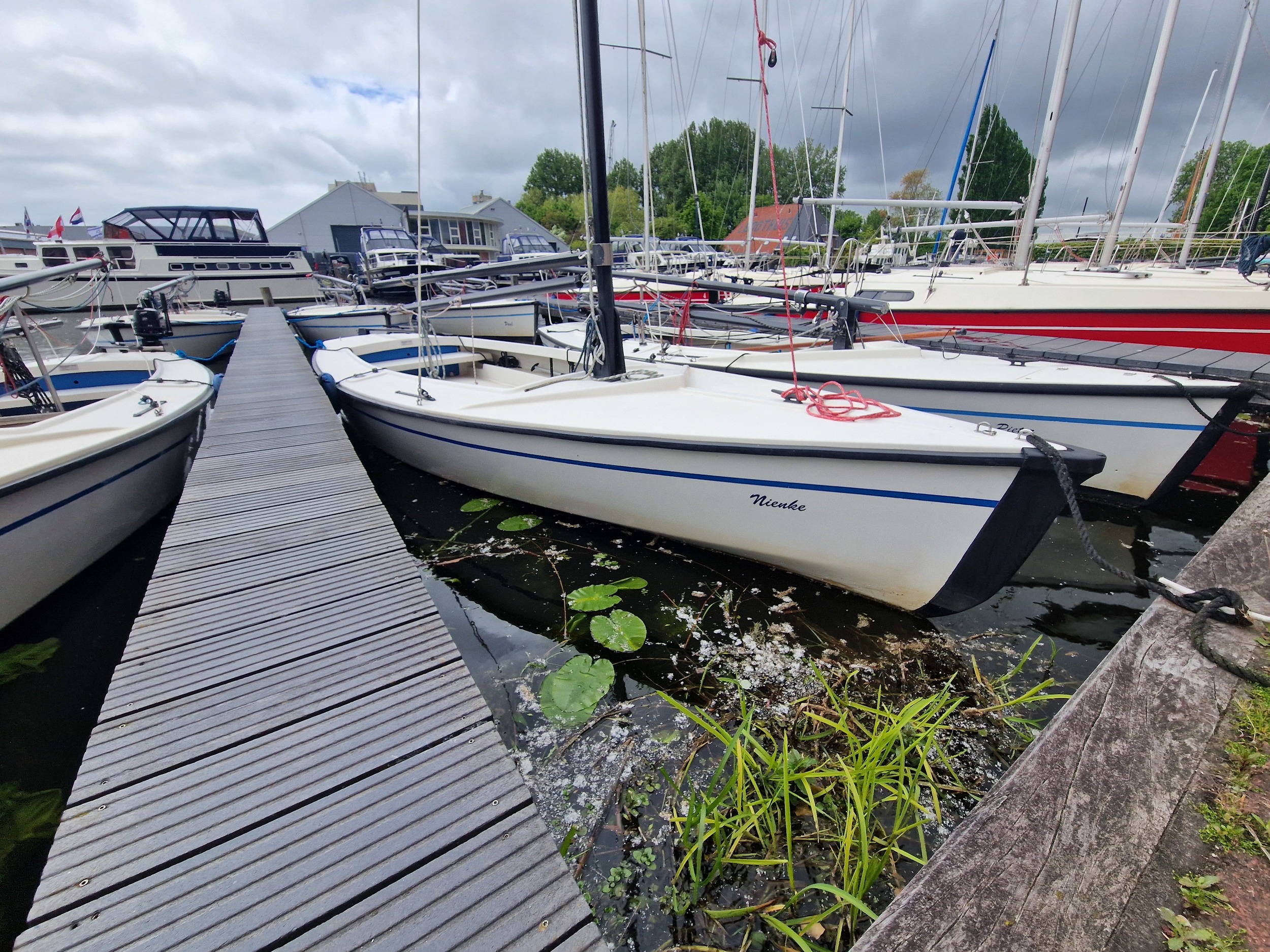Polyvalk 6.65 hoofdfoto: 1