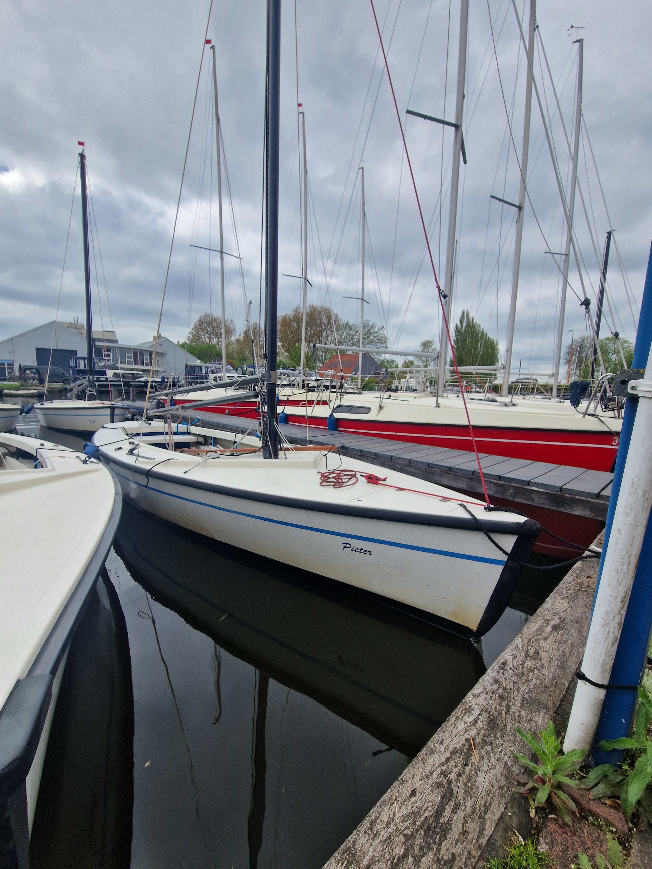 Polyvalk 6.65 foto: 1
