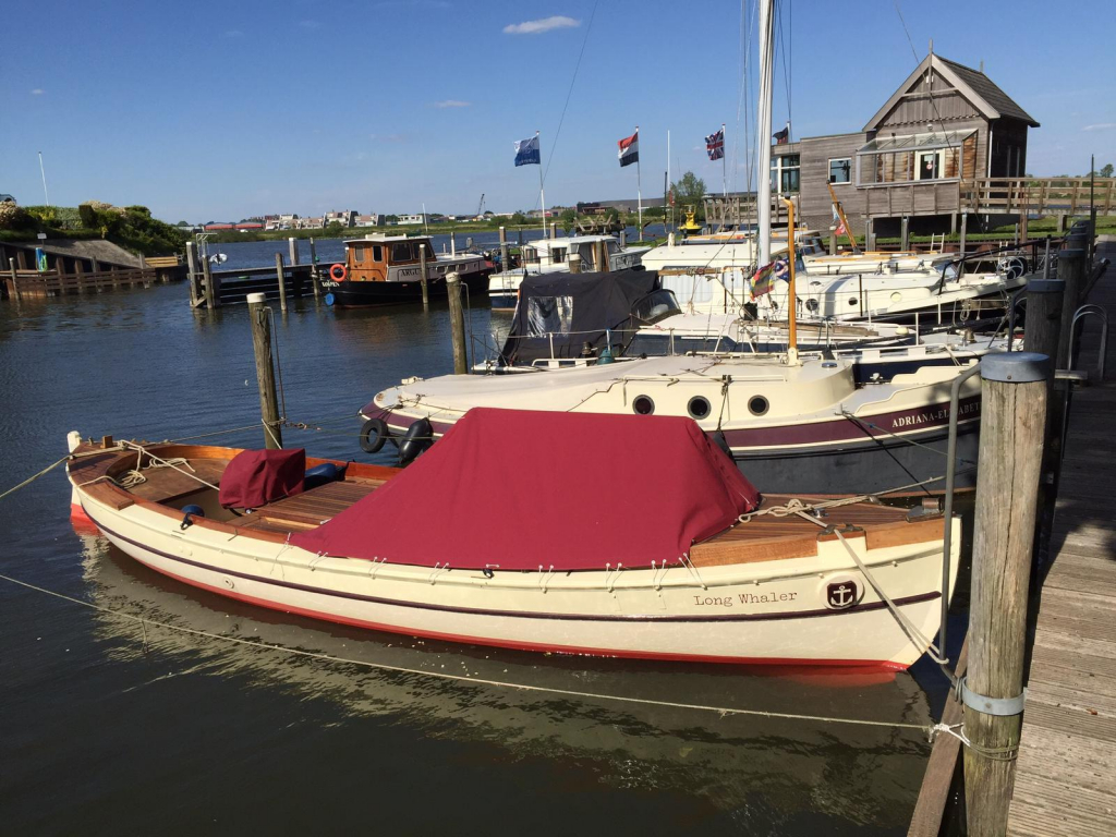 Whaler Royal Navy 8.50 foto 2