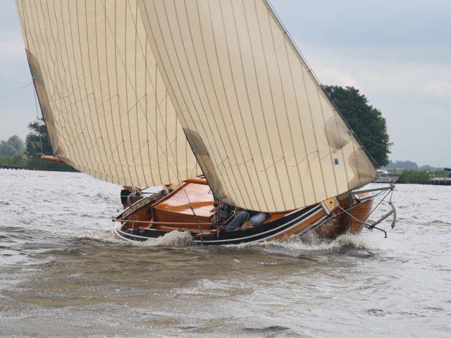 Whaler Royal Navy 8.50