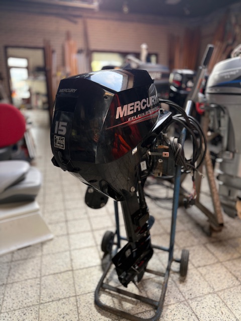 Mercury 15pk