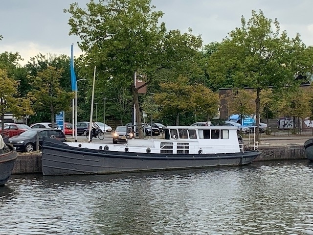 Scherpsteven 19.86
