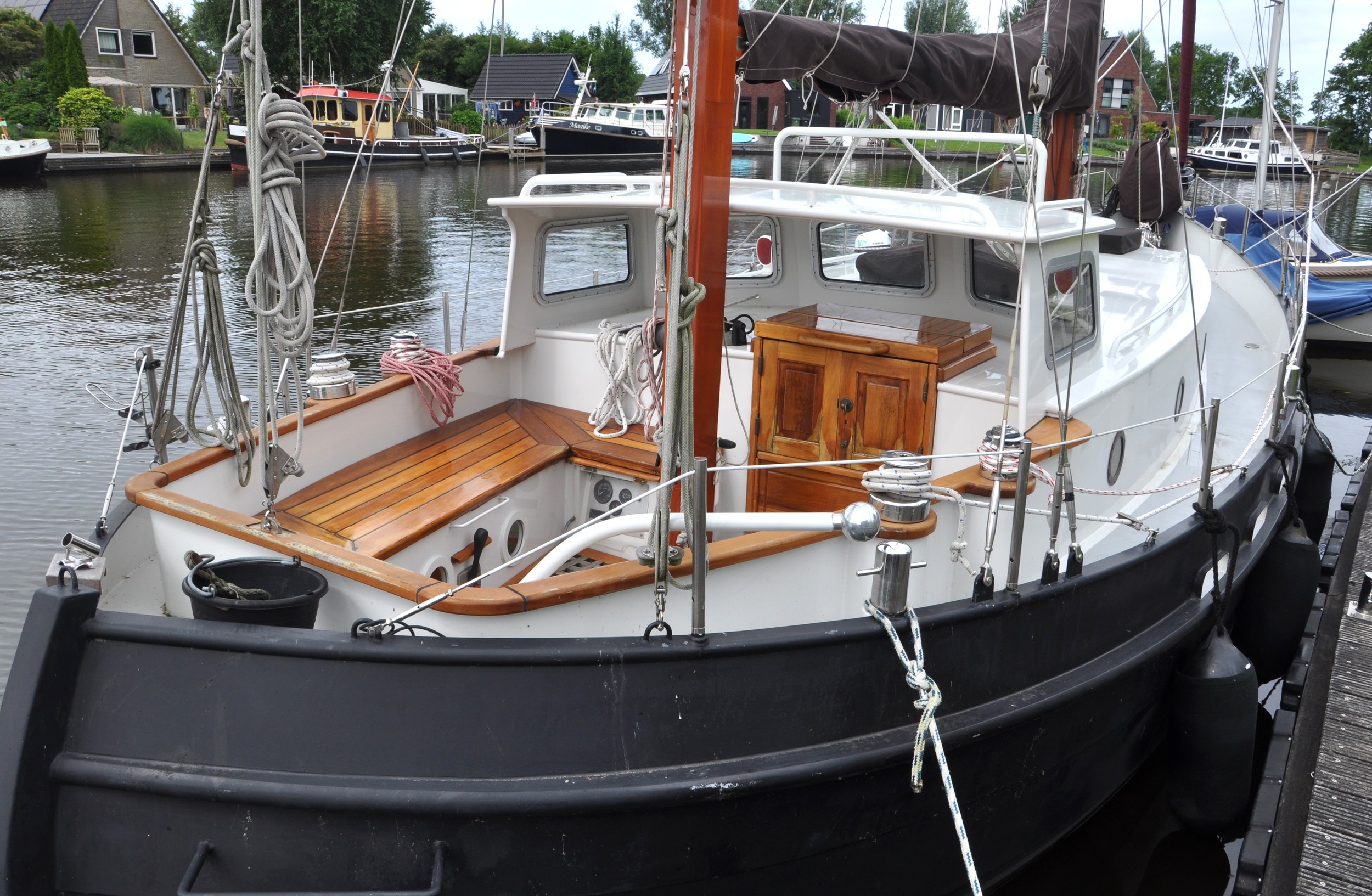 Danish Rose 31